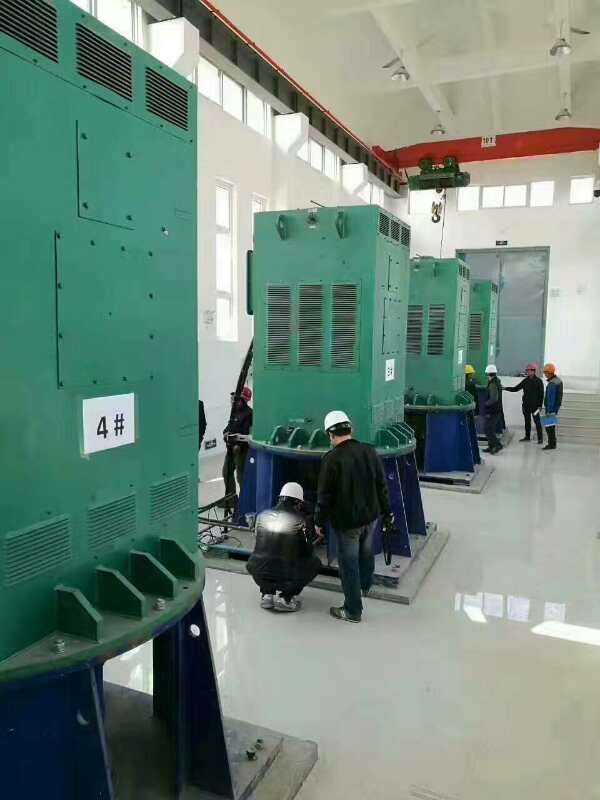 YRKK6301-4某污水处理厂使用我厂的立式高压电机安装现场